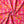Naples velvet by Liberty James Studio in pink, draped, showing an ornate kaleidoscope design