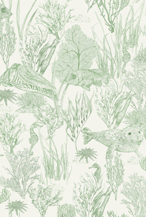Seaview wallpaper by XV Interiors in green, flat sample of fish among seaweed