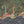 Mira wallpaper by Deus ex Gardenia in charcoal and pink, full repeat of blossoms and hidden big cats