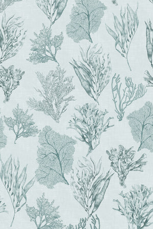 Kelp Forest wallpaper by XV Interiors in grey, full repeat of kelp and seaweed