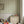 Flying Horse of the Silk Road wallpaper by Annika Reed in green and pink, flying horses in medallions in a child's room