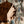 Pair of Cats wallpaper by Annika Reed in brown, pairs of cats and vases in a living room