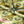 Versailles Eco velvet by Liberty James Studio in green and pink, draped, showing an ornate kaleidoscope design