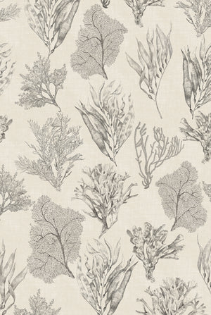 Kelp Forest wallpaper by XV Interiors in cream, pattern sample of kelp and seaweed