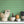 Harlequin Parade wallpaper by Annika Reed in green, a small harlequin check above a sideboard