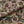 Hues of Sunflowers linen by Dami and Em Design in yellow and brown, full repeat of sunflowers