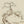 Japanese Tree wallpaper by Dami and Em Design in beige, flat sample of a Japanese pine tree