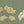 Dancing Flowers wallpaper by Dami and Em Design in pale green, flat sample of large dancing flowers