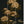 Whispers of Peony wallpaper by Dami and Em Design in charcoal, flat sample of peonies