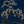 Japanese Tree wallpaper by Dami and Em Design in blue, pattern sample of a Japanese pine tree
