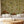 Citrus Trees wallpaper by Dami and Em Design in brown, citrus trees behind a sofa in a living room