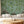 Citrus Trees wallpaper by Dami and Em Design in blue, citrus trees in a living room