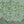 Citrus Trees wallpaper by Dami and Em Design in blue, full repeat of citrus trees