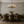 Peacock Garden in Bloom Wallpaper — Concrete room mockup