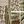 Seasons of the Vine Summer linen by Dami and Em Design in green and purple, style sheet showing grape vines