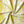 Bel Air Blossom Eco velvet by Liberty James Studio in yellow-green, draped close-up of a mirrored blossom design