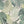Abstract Jungle wallpaper by Brand McKenzie in green, detail of oversized monstera and palm leaves