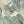 Abstract Jungle wallpaper by Brand McKenzie in green, close-up of oversized monstera and palm leaves
