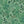 Alpine Landscape wallpaper by Brand McKenzie in green, close-up of dense alpine foliage