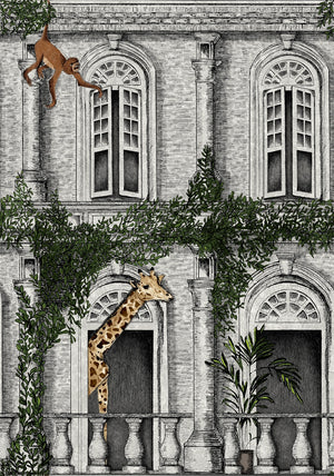 Animal Architecture wallpaper by Brand McKenzie in grey, detail of animals peering from classical stone arches