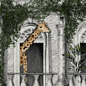Animal Architecture wallpaper by Brand McKenzie in grey, close-up of animals peering from classical stone arches