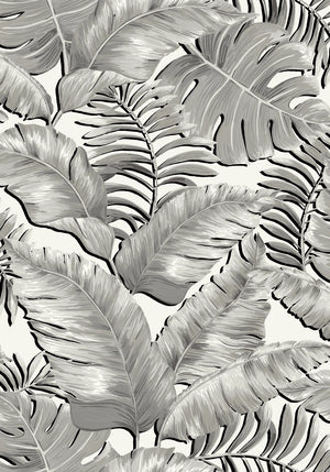 Banana Leaves Max wallpaper by Brand McKenzie in black and white, flat sample of large banana leaves