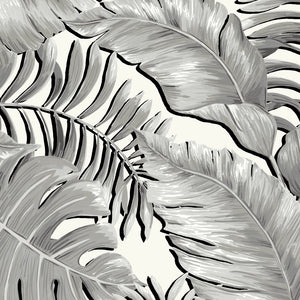 Banana Leaves Max wallpaper by Brand McKenzie in black and white, full repeat of large banana leaves