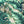 Banana Leaves Max wallpaper by Brand McKenzie in green, close-up of large banana leaves