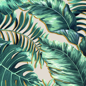 Banana Leaves Max wallpaper by Brand McKenzie in green, close-up of large banana leaves