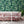 Banana Leaves Max wallpaper by Brand McKenzie in green, large banana leaves on a living room wall
