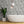 Banana Leaves Standard wallpaper by Brand McKenzie in black and white, banana leaves in a bathroom