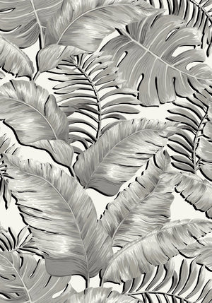 Banana Leaves Standard wallpaper by Brand McKenzie in black and white, flat sample of banana leaves