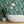 Banana Leaves Standard wallpaper by Brand McKenzie in pink, banana leaves in a bathroom setting