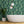 Banana Leaves Standard wallpaper by Brand McKenzie in green, banana leaves on a bathroom wall