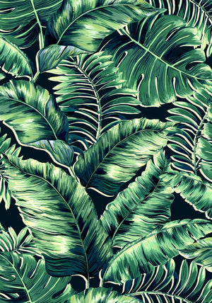 Banana Leaves Standard wallpaper by Brand McKenzie in green, detail of banana leaves