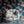 Blossom Midnight wallpaper by Tatie Lou in navy, blossoms and birds in a living room