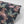 Blossom Noir wallpaper by Tatie Lou in black, full repeat of blossoms and birds