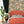 Blossom Dandelion wallpaper by Tatie Lou in yellow, blossoms and birds in a bedroom