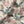 Blossom velvet by Tatie Lou in cream, draped, showing blossoms and birds