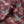 Blossom velvet by Tatie Lou in red, pattern sample of blossoms and birds