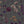 Botanica wallpaper by Victoria Sanders in dark grey, flat sample of wildflowers and poppies