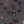 Botanica wallpaper by Victoria Sanders in dark grey, full repeat of wildflowers and poppies