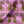 Boucle velvet by Tatie Lou in pink, draped close-up of bold retro rings