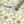 Bumblebee and Flora wallpaper by Seed Home Designs in cream, partly unrolled roll showing bumblebees and sunflowers