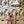 Burlesque wallpaper by Dupenny in black and white, burlesque dancers in a styled room setting