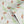 Sustainable Butterfly and wallpaper by Seed Home Designs in green, roll showing butterflies and ferns
