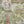 Carnival Map wallpaper by Brand McKenzie in green, close-up of an illustrated carnival map (alternate view)