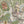 Carnival Map wallpaper by Brand McKenzie in green, pattern detail of an illustrated carnival map (alternate view)