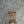The Lost Garden in Coastal Blue wallpaper by Studio Le Cocq in blue, a dense garden of flowers in a styled room setting