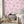 Charming Lanes wallpaper by Brand McKenzie in fuchsia, toile-style townhouses on a bedroom wall